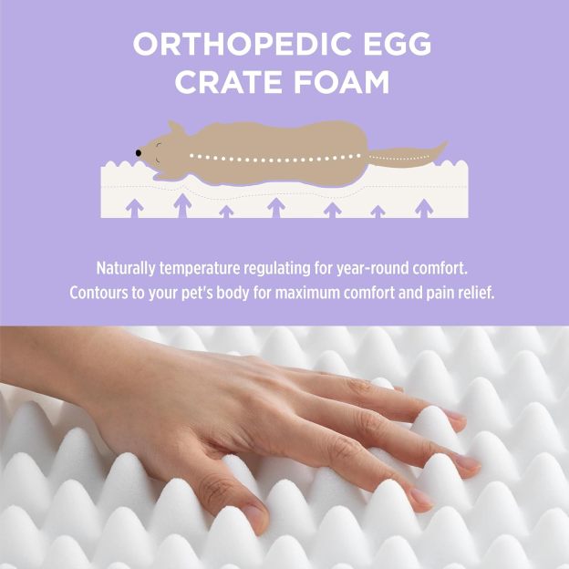 Human Dog Bed for Adult - Calming Human Size Dog Bed with Egg Foam Supportive Mat and Storage Pocket, Cute Modern Pet Beds with Jacquard Shaggy Plush & Anti Slip Bottom 68x44x12, Blue