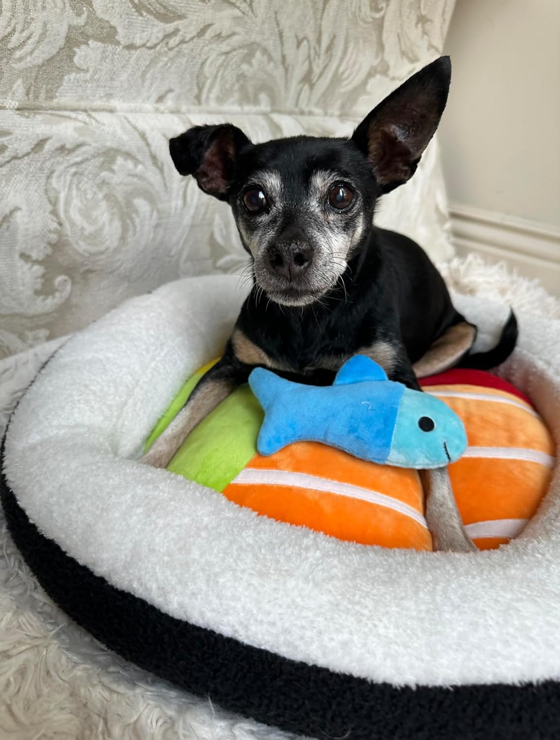 Soft Plush Small Cute and Cozy Food Dog Cat Bed, Washer and Dryer Friendly (Sushi Roll)