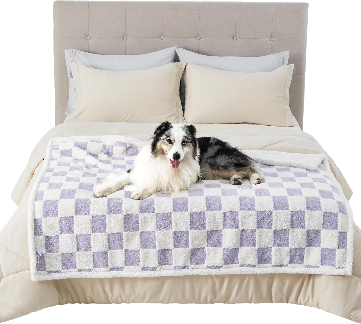 Waterproof Dog Blanket for Large Dogs - Washable Double Sided Dog Blankets with Warm Jacquard Shag and Soft Sherpa Fleece