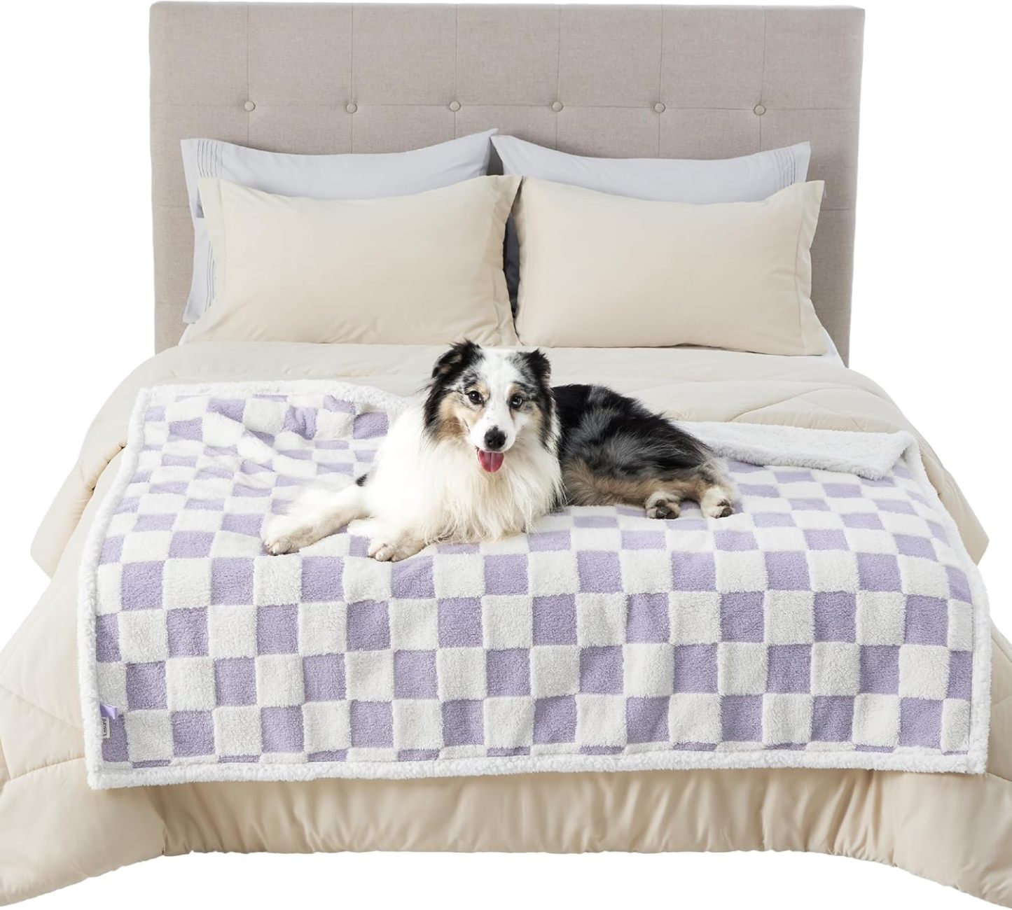 Waterproof Dog Blanket for Large Dogs - Washable Double Sided Dog Blankets with Warm Jacquard Shag and Soft Sherpa Fleece