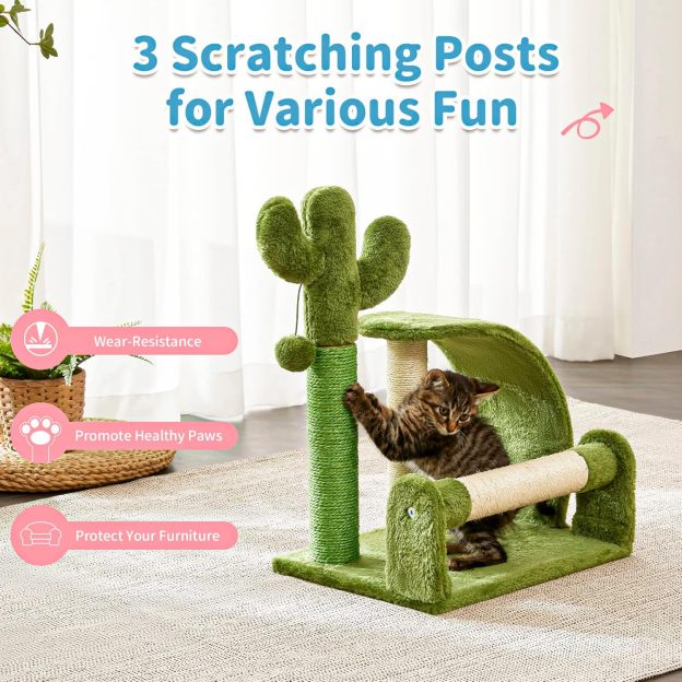 Cat Scratching Post, Cactus Scratcher Tree for Indoor Small Cats, Adult Kitten Scratch Pad with Natural Sisal Ropes