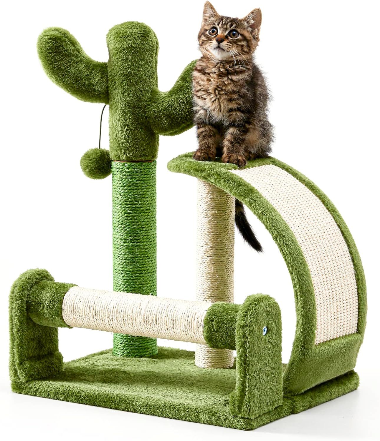 Cat Scratching Post, Cactus Scratcher Tree for Indoor Small Cats, Adult Kitten Scratch Pad with Natural Sisal Ropes