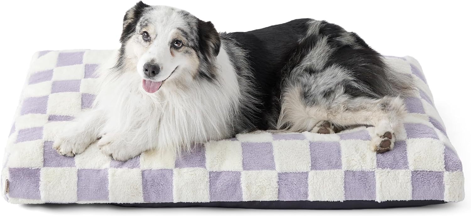  XLarge Dog Bed-Thick Shredded Chopped Foam Pet Bed, Dog Bed Indoor with Removable Cover, Cute Modern Fuzzy Plush & Anti Slip Bottom(41'x28', Purple)