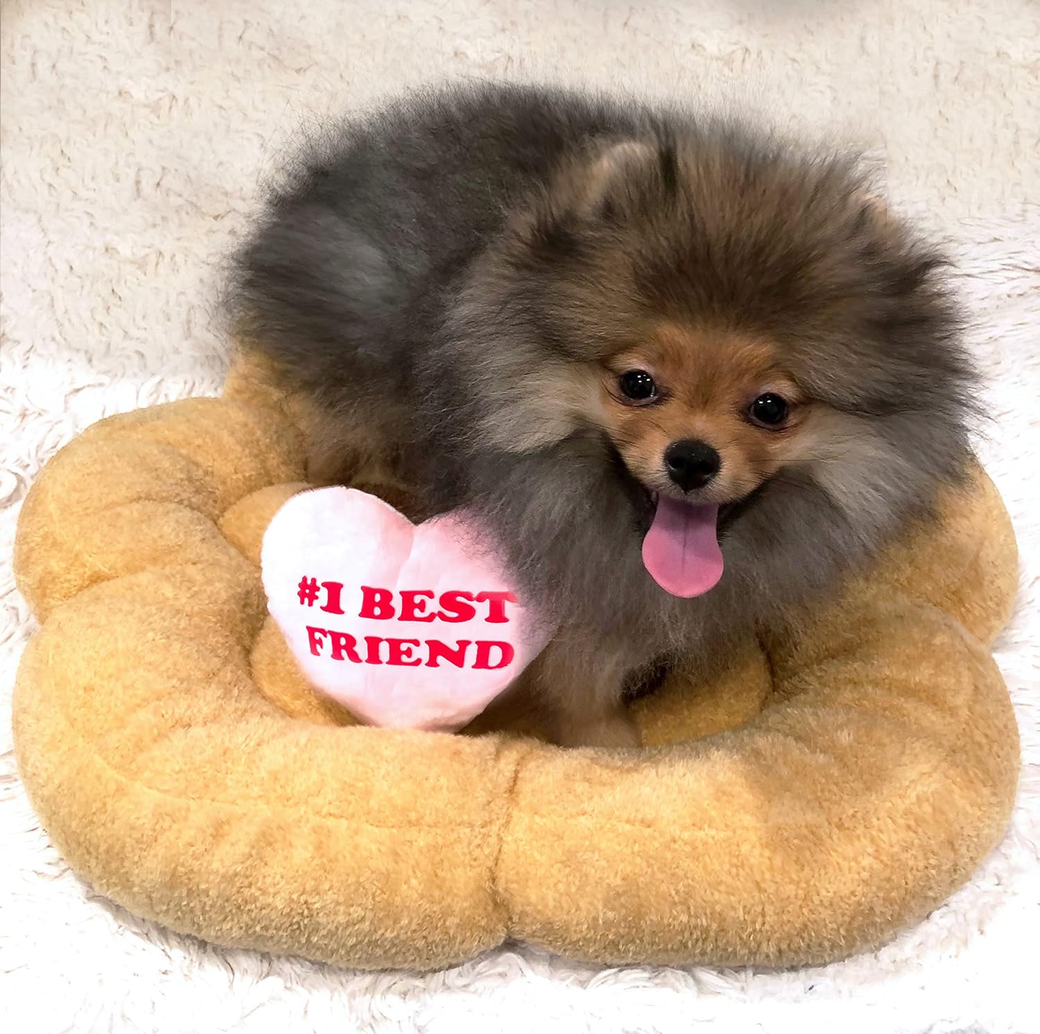 Soft Plush Small Cute and Cozy Nature Dog Cat Bed, Washer and Dryer Friendly (Paw)