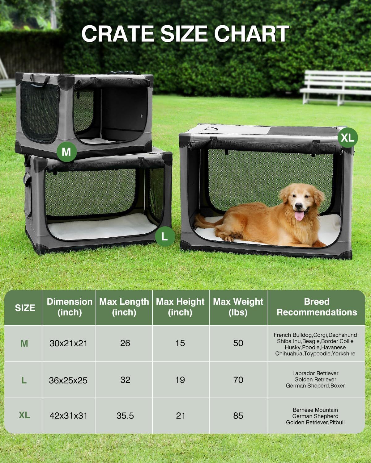 30 Inch Collapsible Travel Dog Crate for Medium Large Dogs, Portable Dog Crate 4-Door Foldable Soft Kennel with Chew-Proof Mesh Windows