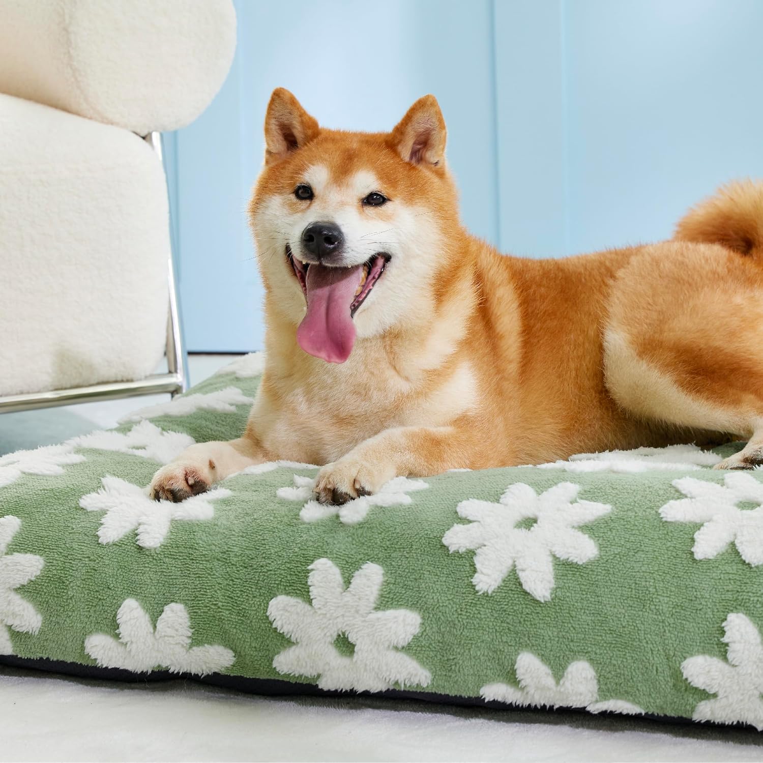 Dog Beds Large Sized Dog-Thick Shredded Chopped Foam Pet Bed, Dog Bed Indoor with Removable Cover, Cute Modern Fuzzy Plush & Anti Slip Bottom(35'x22', Green)