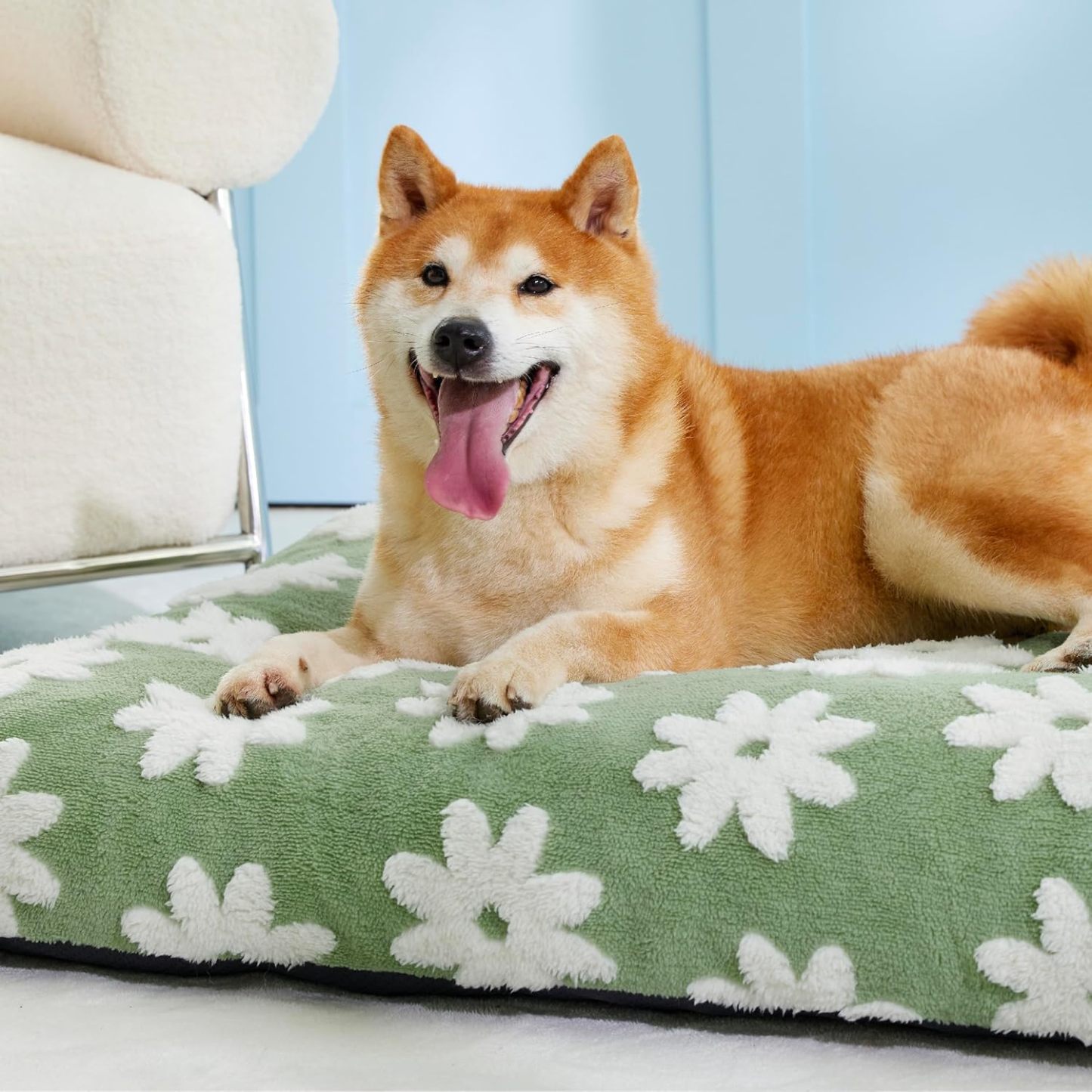 Dog Beds Large Sized Dog-Thick Shredded Chopped Foam Pet Bed, Dog Bed Indoor with Removable Cover, Cute Modern Fuzzy Plush & Anti Slip Bottom(35'x22', Green)