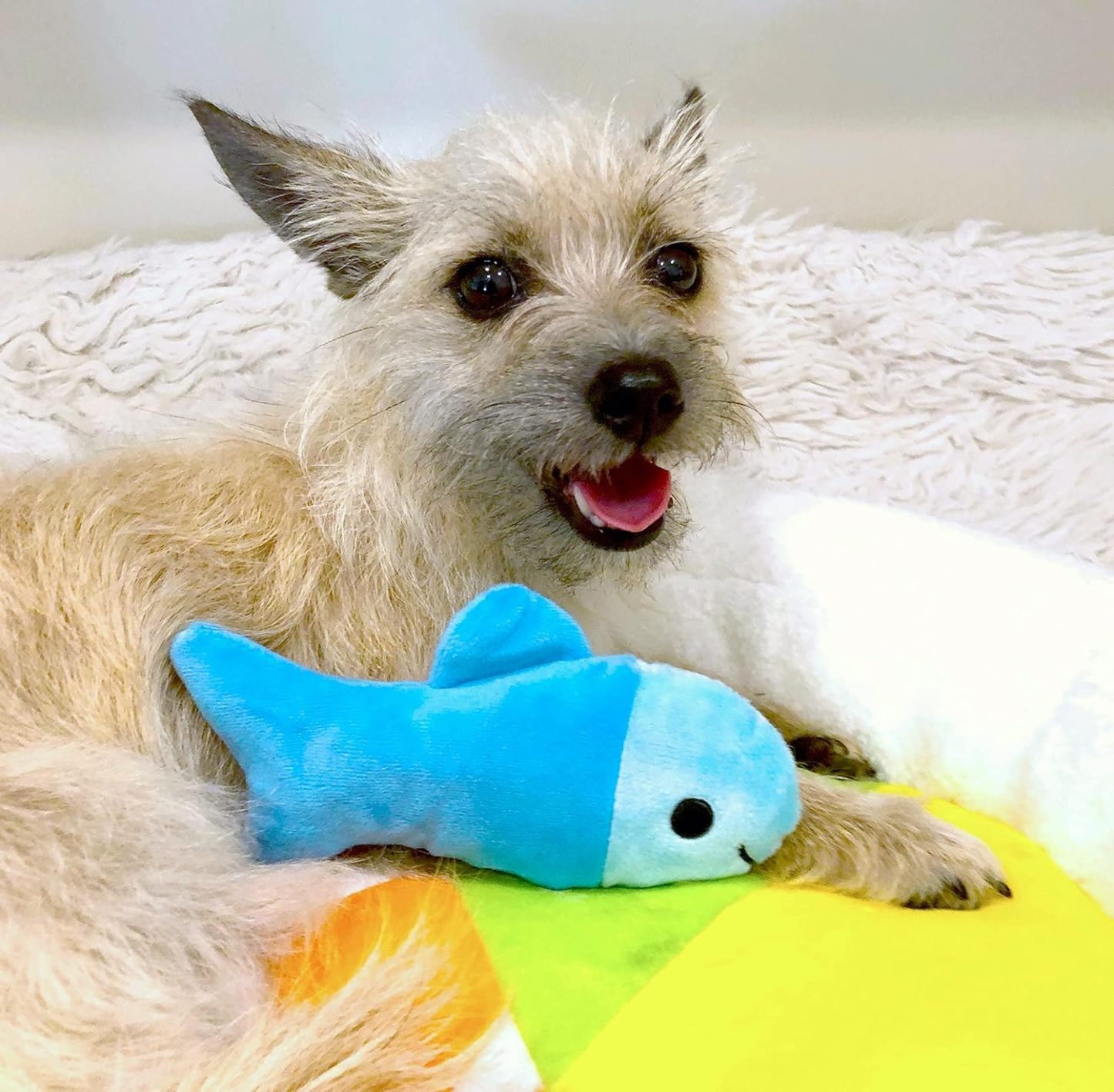 Soft Plush Small Cute and Cozy Food Dog Cat Bed, Washer and Dryer Friendly (Sushi Roll)