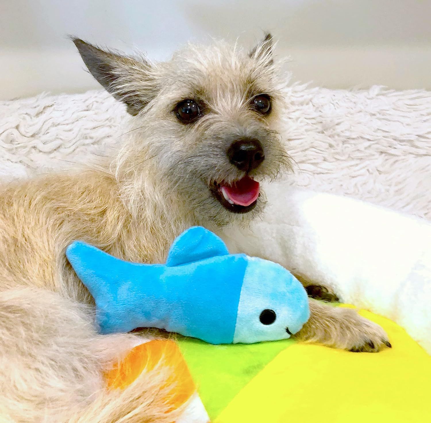 Soft Plush Small Cute and Cozy Food Dog Cat Bed, Washer and Dryer Friendly (Sushi Roll)