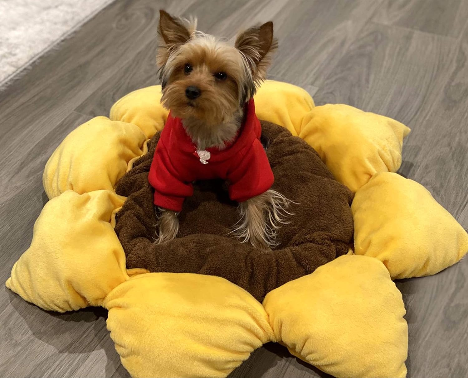 Soft Plush Small Cute and Cozy Nature Dog Cat Bed, Washer and Dryer Friendly (Sunflower)