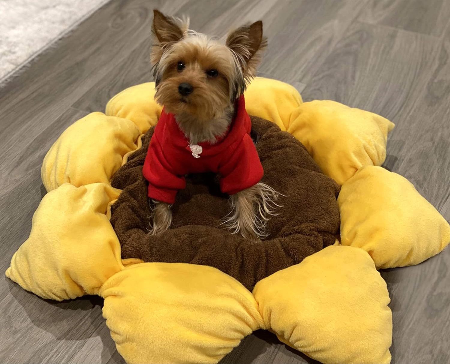 Soft Plush Small Cute and Cozy Nature Dog Cat Bed, Washer and Dryer Friendly (Sunflower)