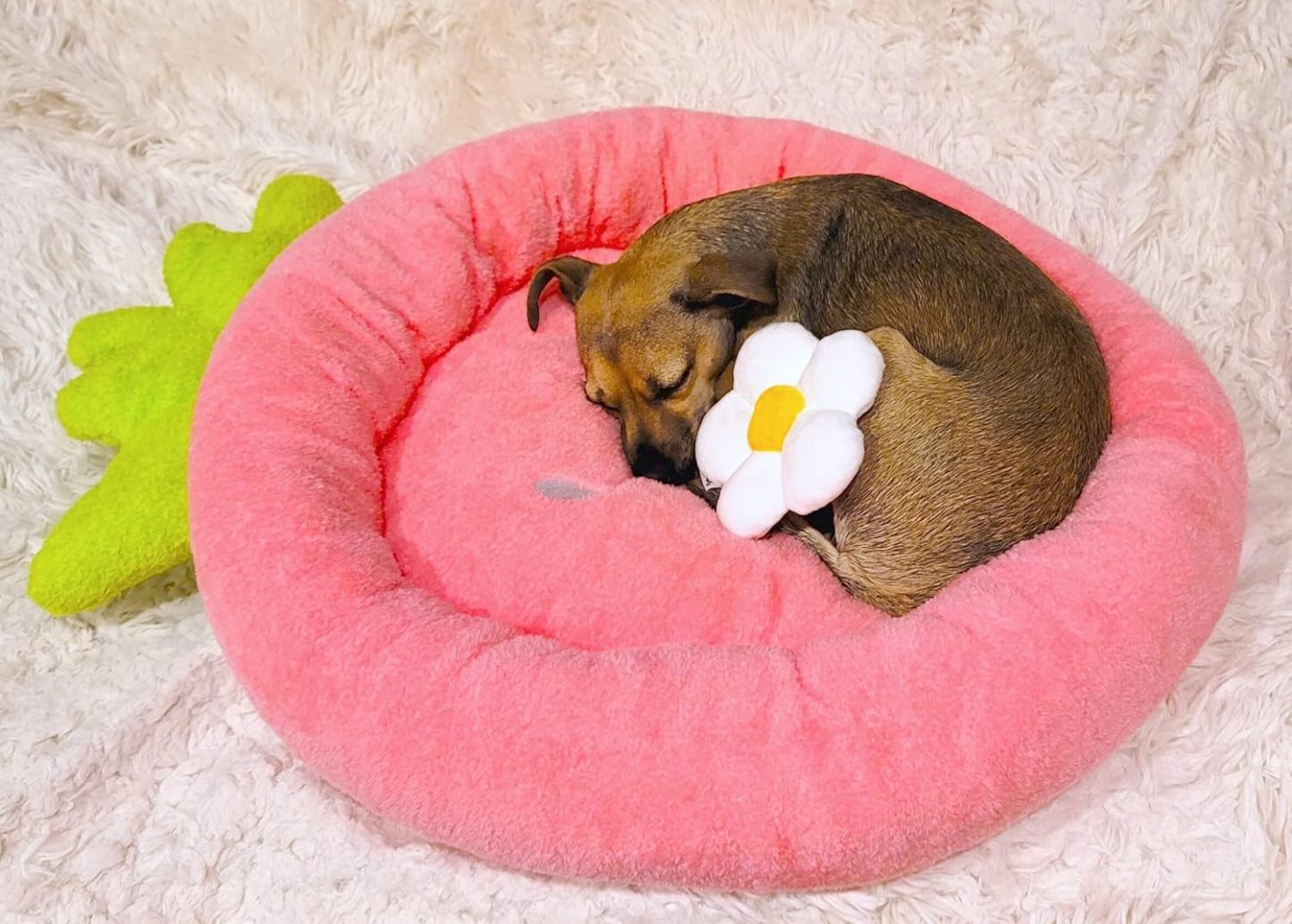 Soft Plush Small Cute and Cozy Food Dog Cat Bed, Washer and Dryer Friendly (Strawberry)