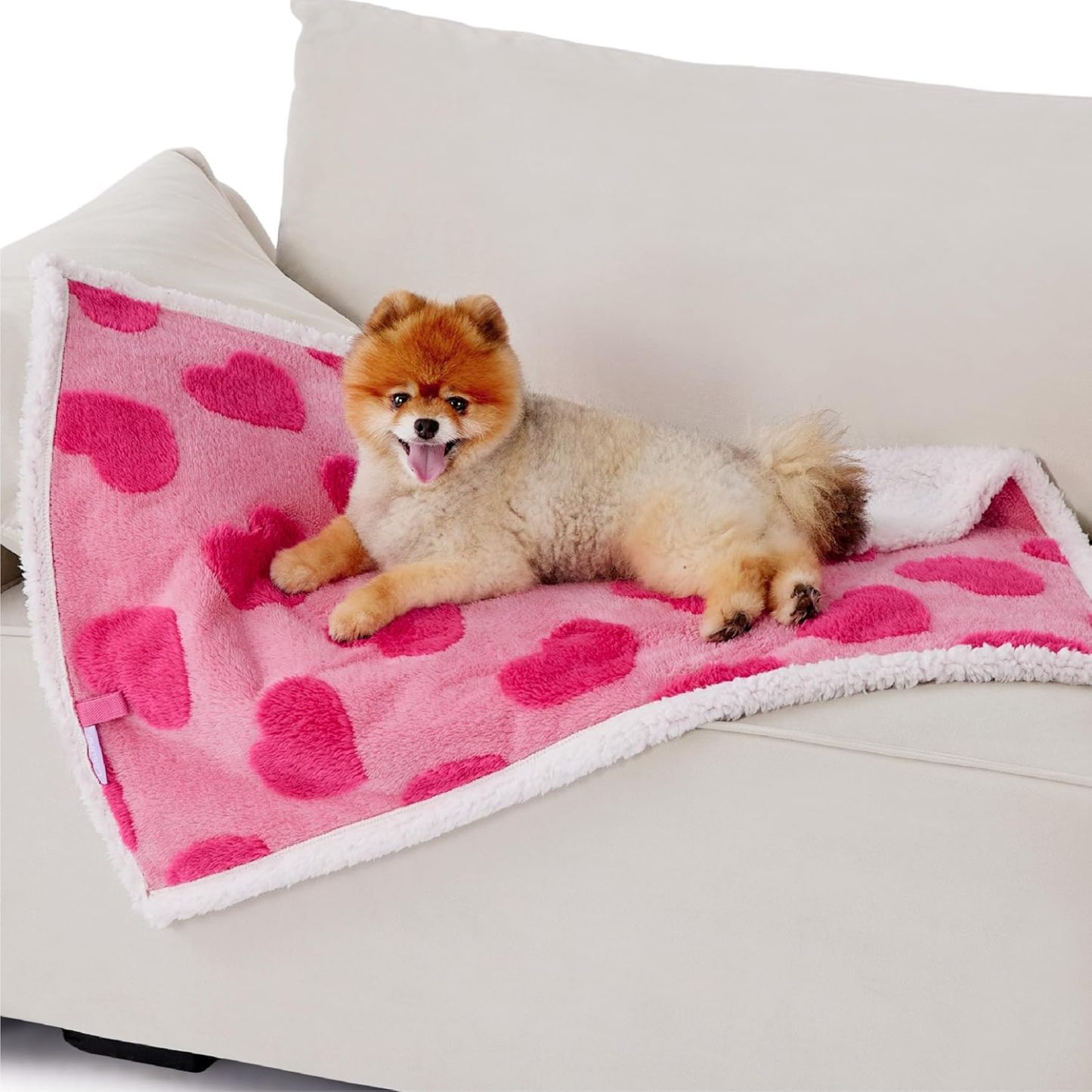 Waterproof Puppy Blanket for Small Dogs - Washable Double Sided Dog Blankets with Warm Jacquard Shag and Soft Sherpa Fleece, Pet Cat Blanket for Couch Protection, Love Pattern Design, Pink