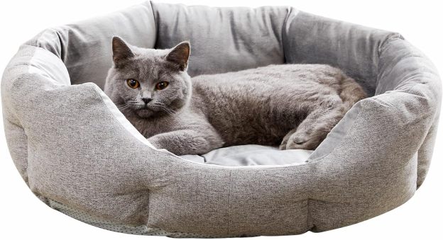 Cat Beds for Indoor Cats - Dog Beds for Small Dogs, Round Pet Bed for Puppy and Kitten, Washable Dog Bed with Anti-Slip Bottom, 22.44"L x 20.47"W x 6.3"Th
