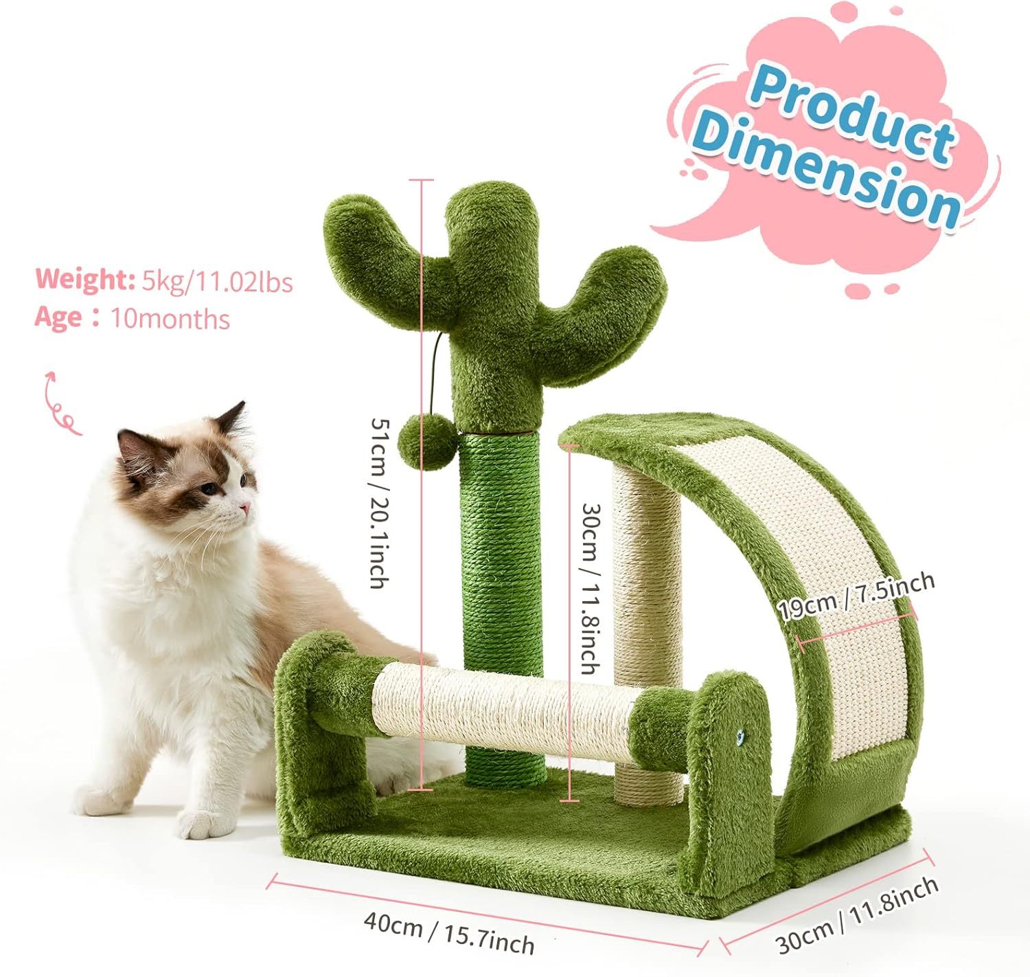 Cat Scratching Post, Cactus Scratcher Tree for Indoor Small Cats, Adult Kitten Scratch Pad with Natural Sisal Ropes
