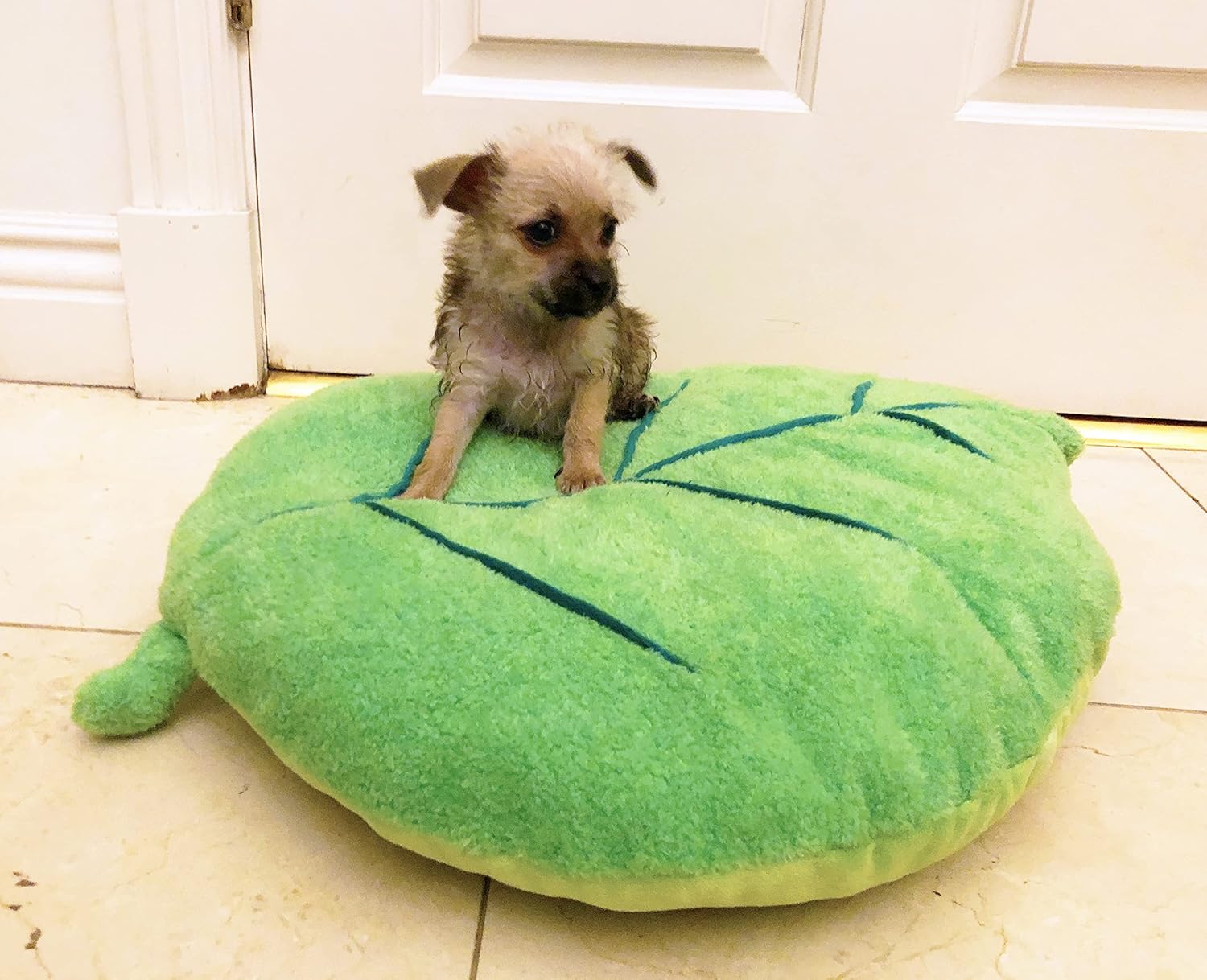 Soft Plush Extra Small Cute and Cozy Leaf Dog Cat Bed, Washer and Dryer Friendly (Leaf)