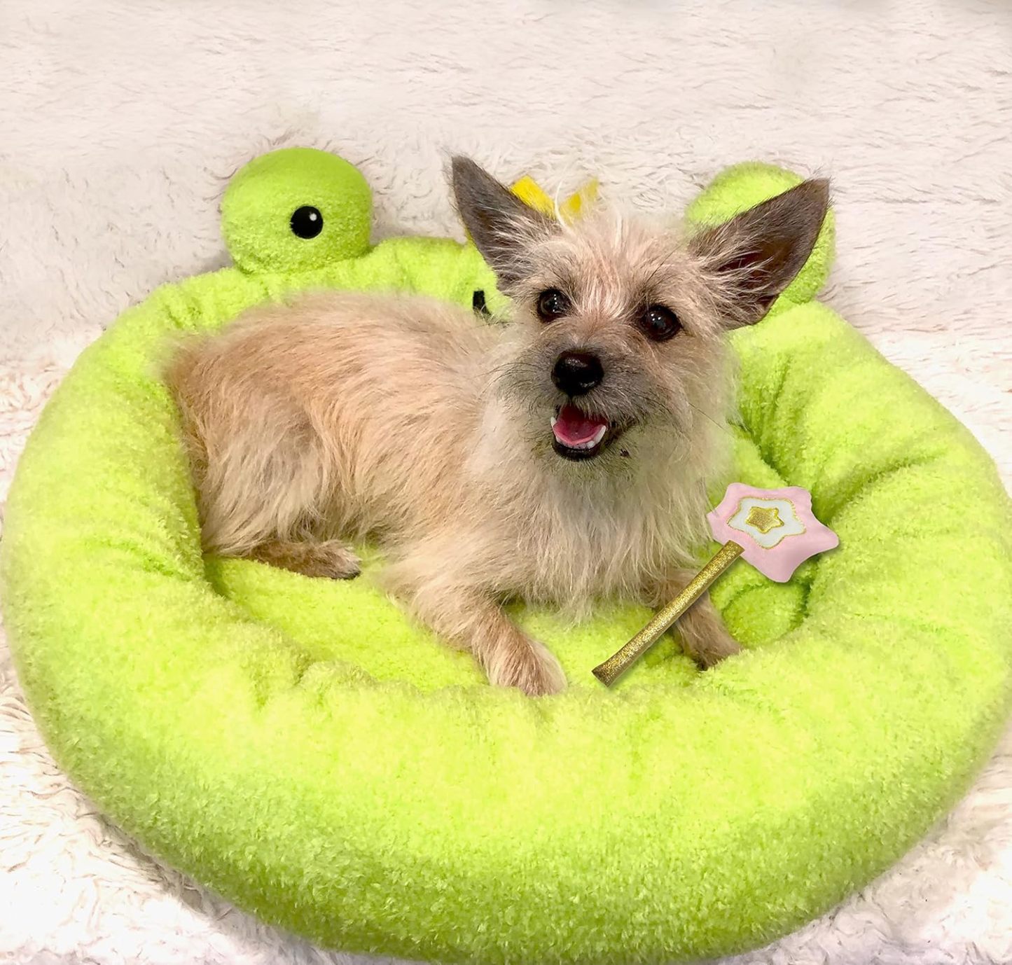 Soft Plush Small Cute and Cozy Food Dog Cat Bed, Washer and Dryer Friendly (Frog)