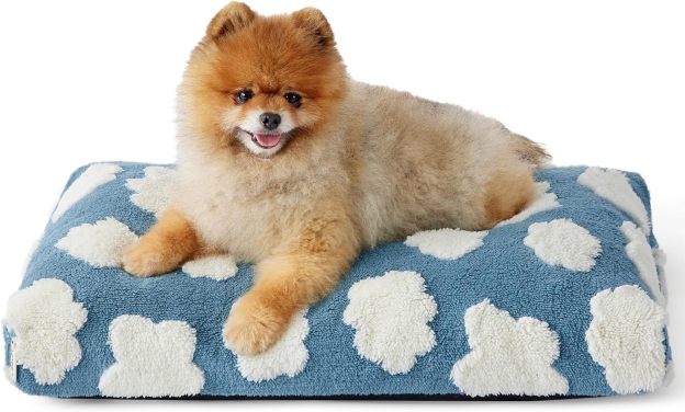 Small Dog Beds-Thick Shredded Chopped Foam Pet Bed, Dog Bed Indoor with Removable Cover, Cute Modern Fuzzy Plush & Anti Slip Bottom(24'x16', Blue)