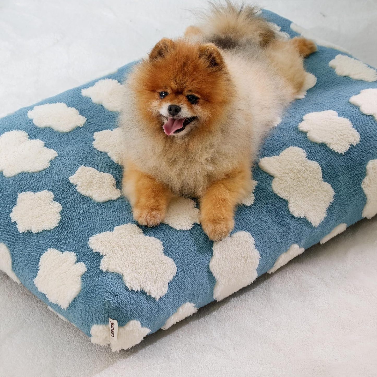 Small Dog Beds-Thick Shredded Chopped Foam Pet Bed, Dog Bed Indoor with Removable Cover, Cute Modern Fuzzy Plush & Anti Slip Bottom(24'x16', Blue)