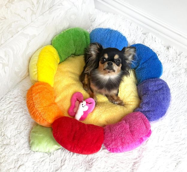 Soft Plush Small Cute and Cozy Nature Dog Cat Bed, Washer and Dryer Friendly (Rainbow Flower)
