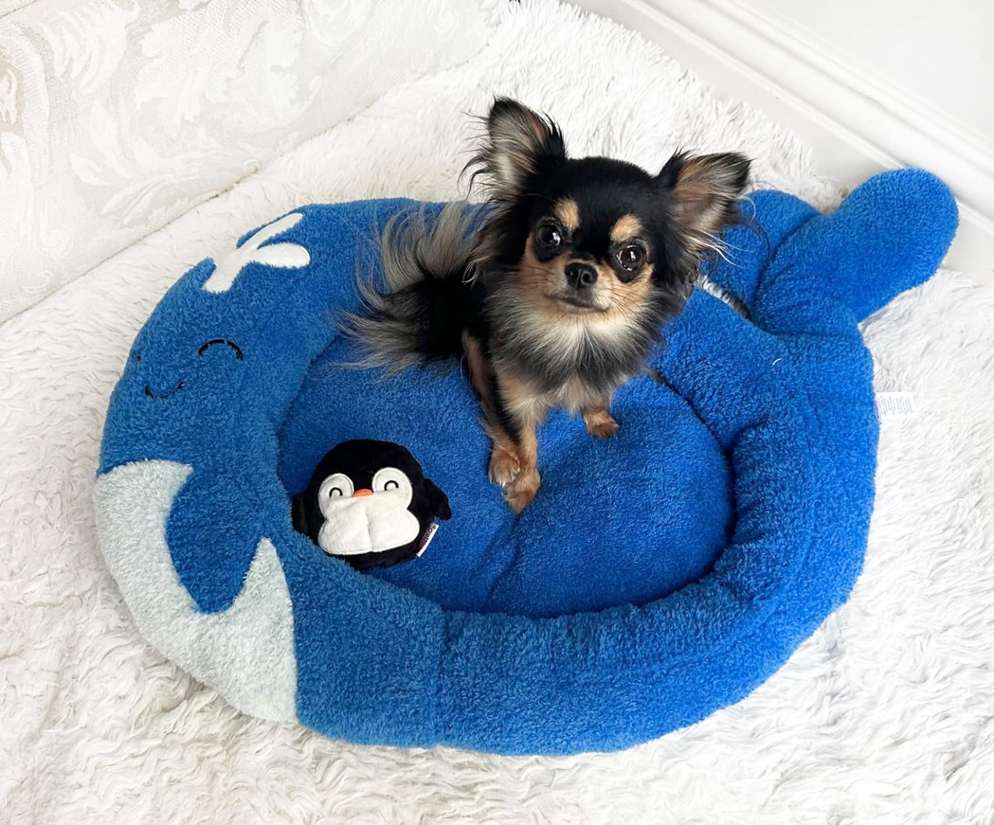 Soft Plush Small Cute and Cozy Nature Dog Cat Bed, Washer and Dryer Friendly (Whale)