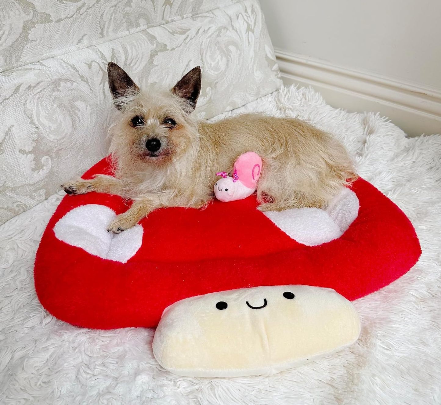 Soft Plush Small Cute and Cozy Nature Dog Cat Bed, Washer and Dryer Friendly (Mushroom)
