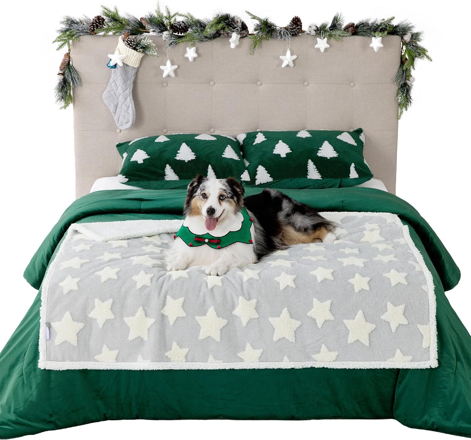 Waterproof Dog Blanket for Large Dogs - Washable Double Sided Dog Blankets with Warm Jacquard Shag and Soft Sherpa Fleece