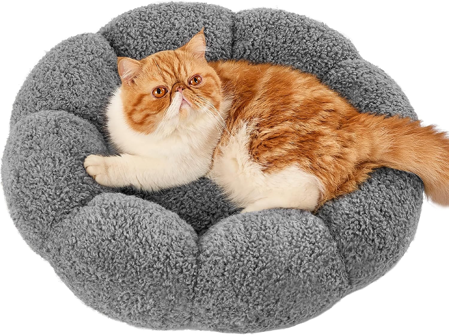 Calming Cat Beds for Indoor Cats - Cute Flower Pet Beds in Teddy Sherpa Plush, Donut Round Fluffy Puppy Bed, Non-Slip Extra Small Dog Bed Fits up to 15 lbs, Machine Washable, Grey 20"