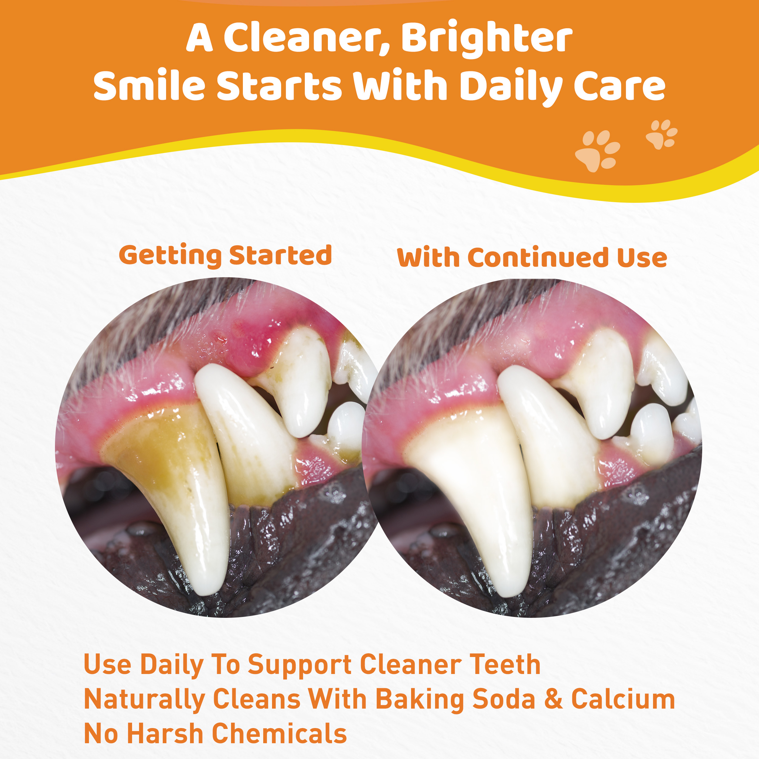 Dog Teeth Cleaning Powder