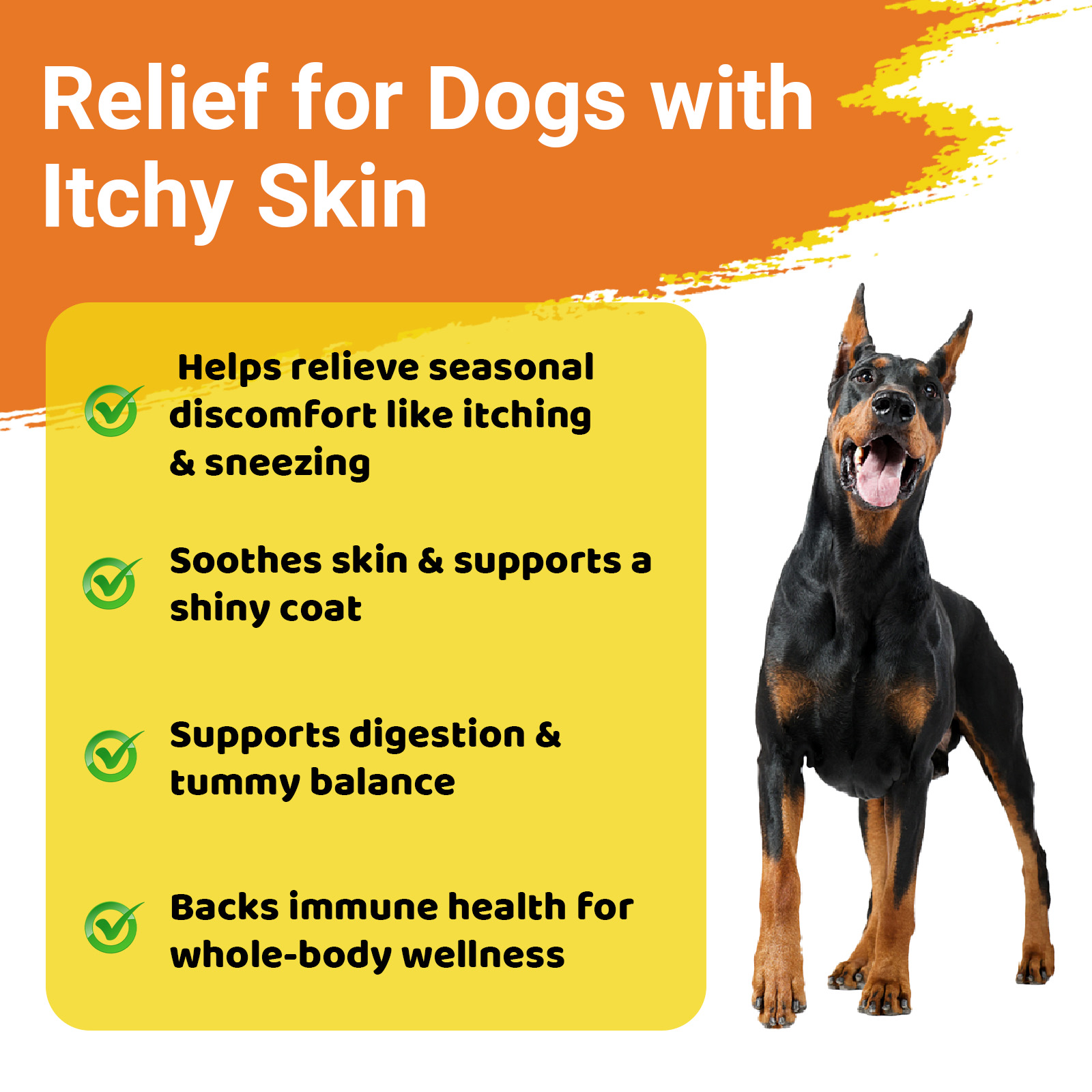 (2 Pack) Dog Allergy Chews for Itchy Skin Relief - Seasonal Allergy and Immune Support with Colostrum, Omega 3, Probiotics, Turmeric, Zinc, Vitamins B & E - Helps with Paw Licking & Scratching - 90 Soft Chews