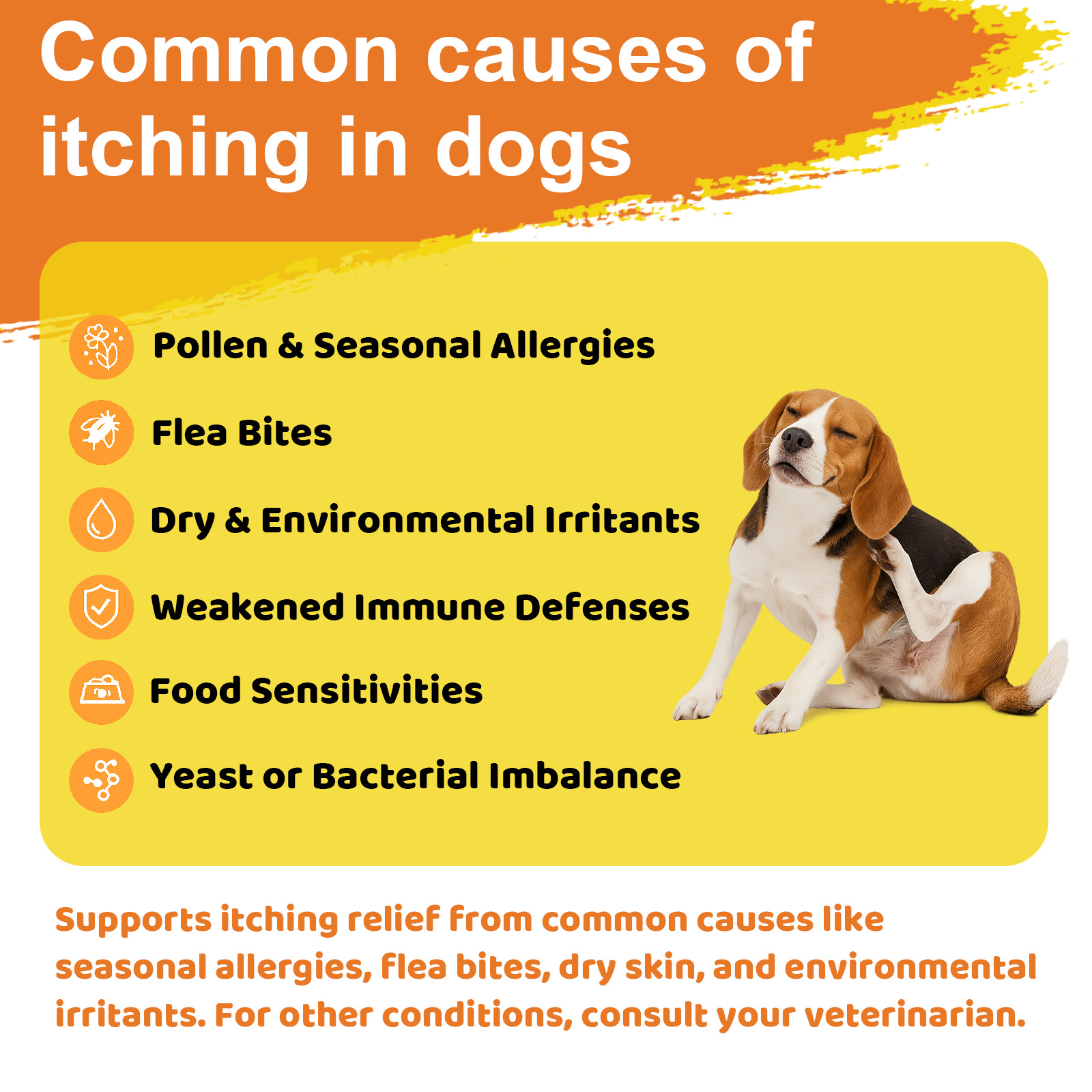 (2 Pack) Dog Allergy Chews for Itchy Skin Relief - Seasonal Allergy and Immune Support with Colostrum, Omega 3, Probiotics, Turmeric, Zinc, Vitamins B & E - Helps with Paw Licking & Scratching - 90 Soft Chews