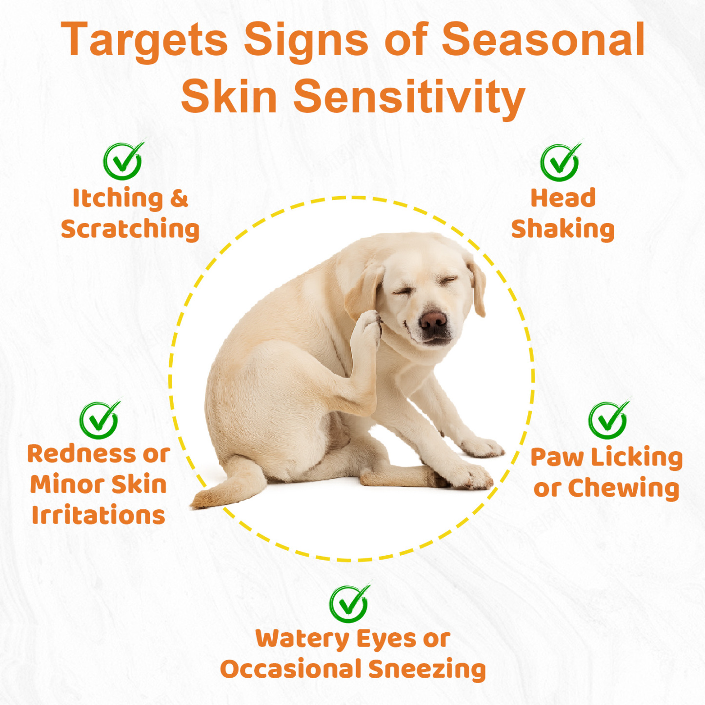 (2 Pack) Dog Allergy Chews for Itchy Skin Relief - Seasonal Allergy and Immune Support with Colostrum, Omega 3, Probiotics, Turmeric, Zinc, Vitamins B & E - Helps with Paw Licking & Scratching - 90 Soft Chews