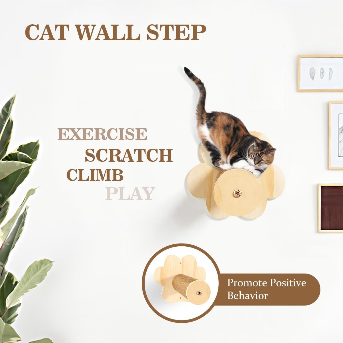 Cat Wall Shelves - Wall Mounted with Cat Hammock