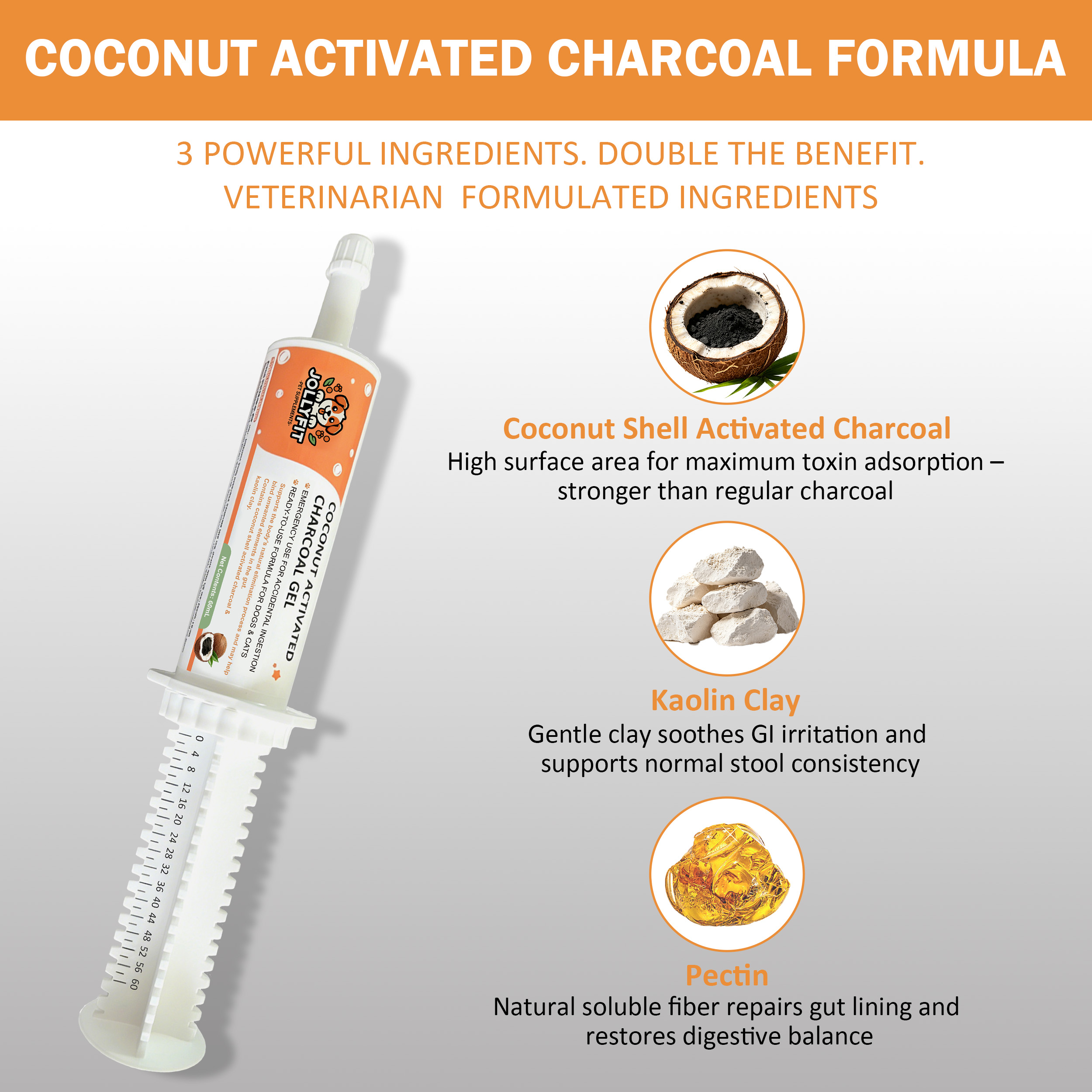 Coconut Activated Charcoal Gel for Dogs & Cats, 60mL