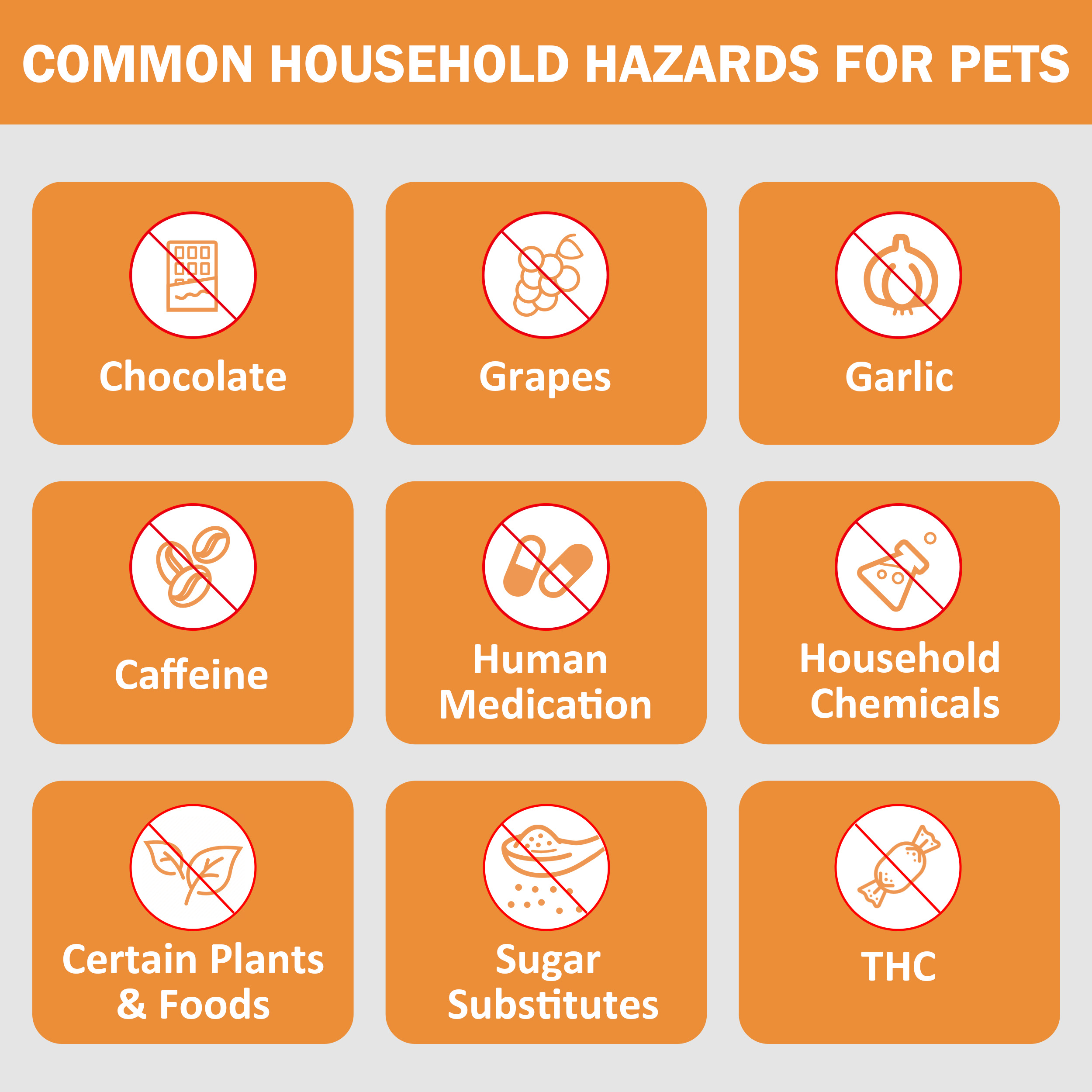 Coconut Activated Charcoal Gel for Dogs & Cats, 60mL