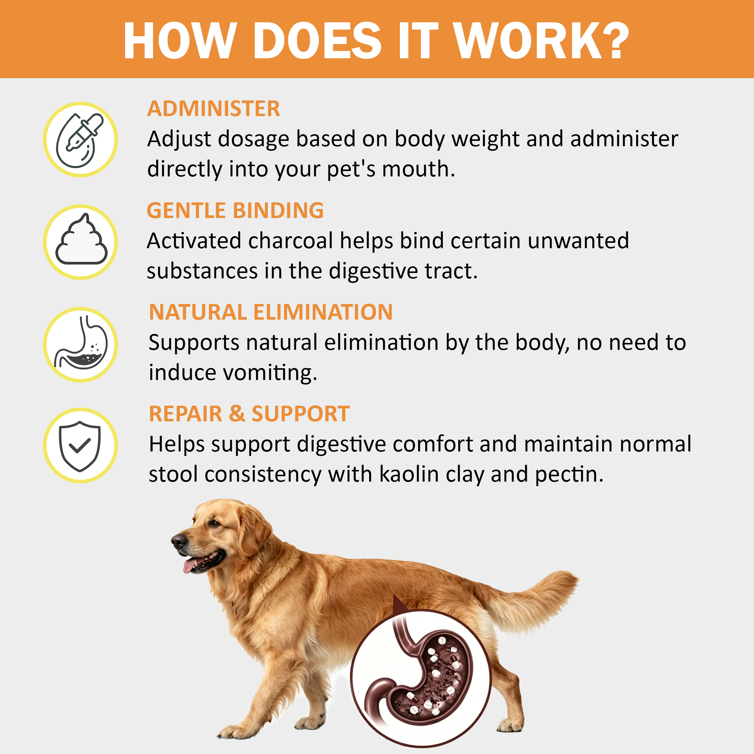 Coconut Activated Charcoal Gel for Dogs & Cats, 60mL