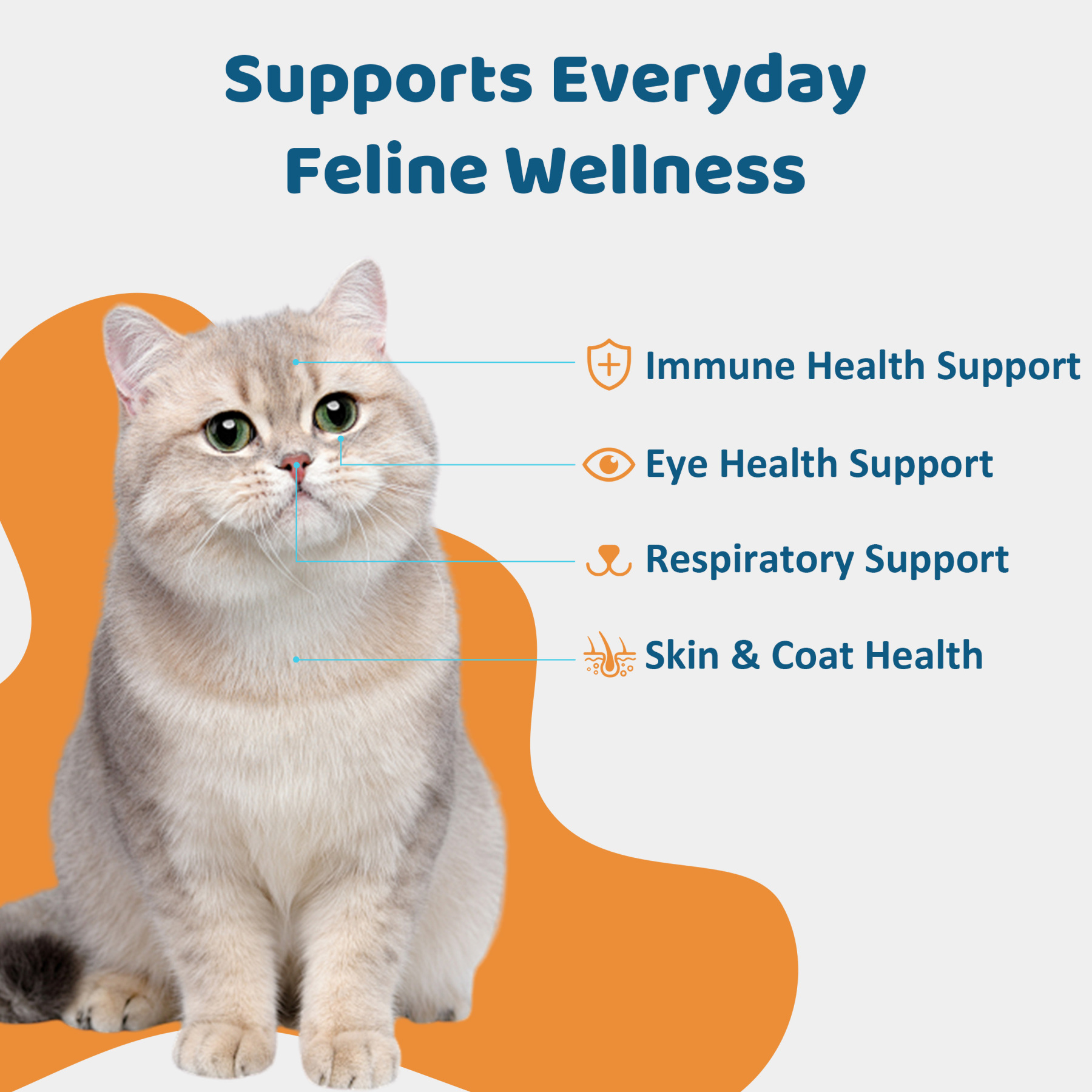 L-Lysine for Cats Oral Paste – Immune & Respiratory Support for Felines – with Collagen, Zinc, Multivitamins & Probiotics – Natural Chicken Flavor, 4.23 oz (120g)