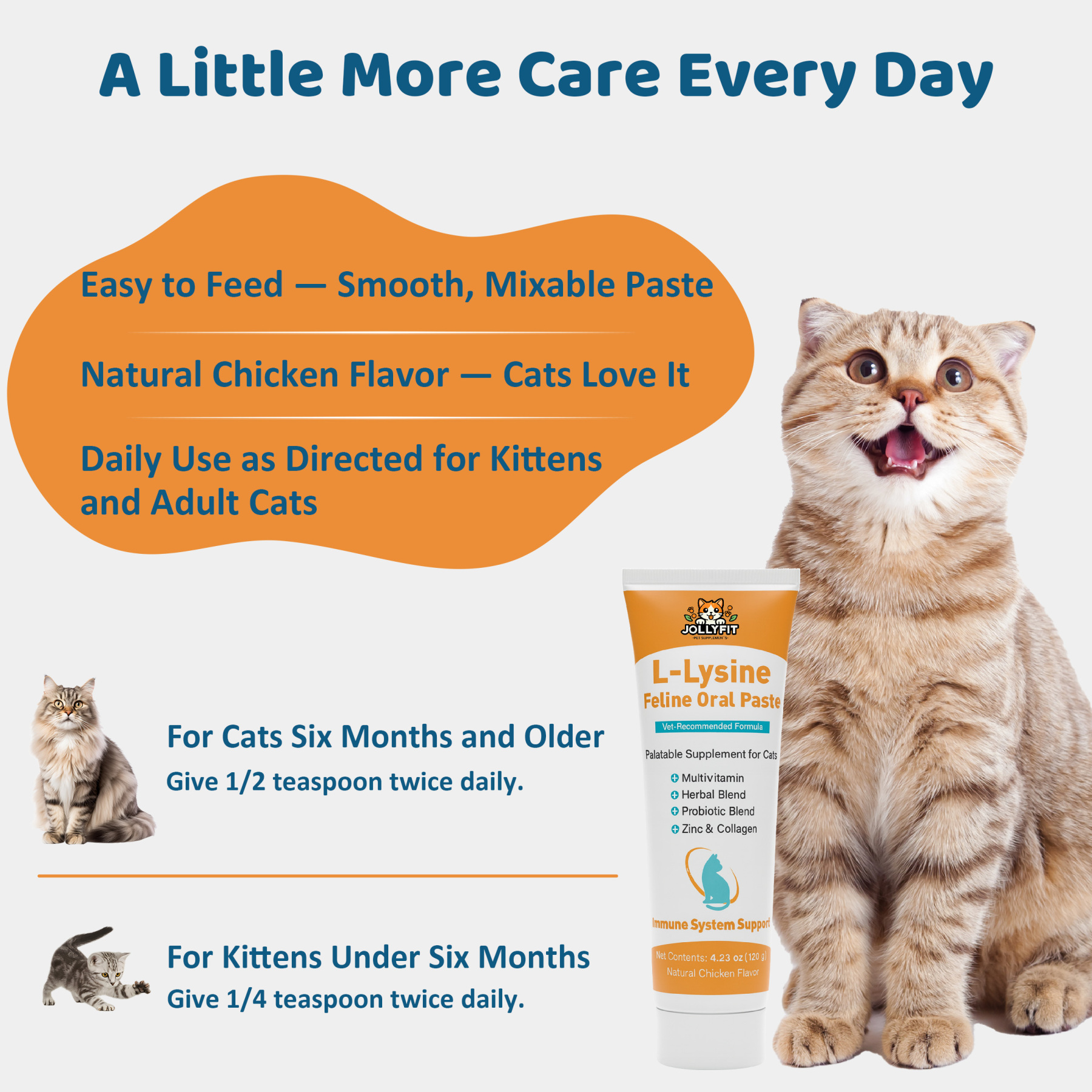 L-Lysine for Cats Oral Paste – Immune & Respiratory Support for Felines – with Collagen, Zinc, Multivitamins & Probiotics – Natural Chicken Flavor, 4.23 oz (120g)