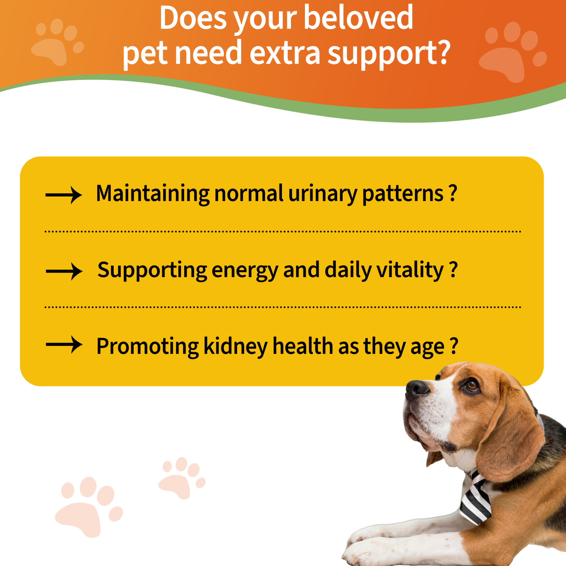 Kidney Support for Dogs and Cats - 2 fl oz (59 ml)