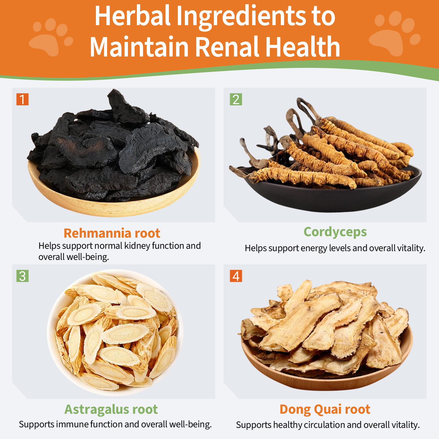 Kidney Support for Dogs and Cats - 2 fl oz (59 ml)