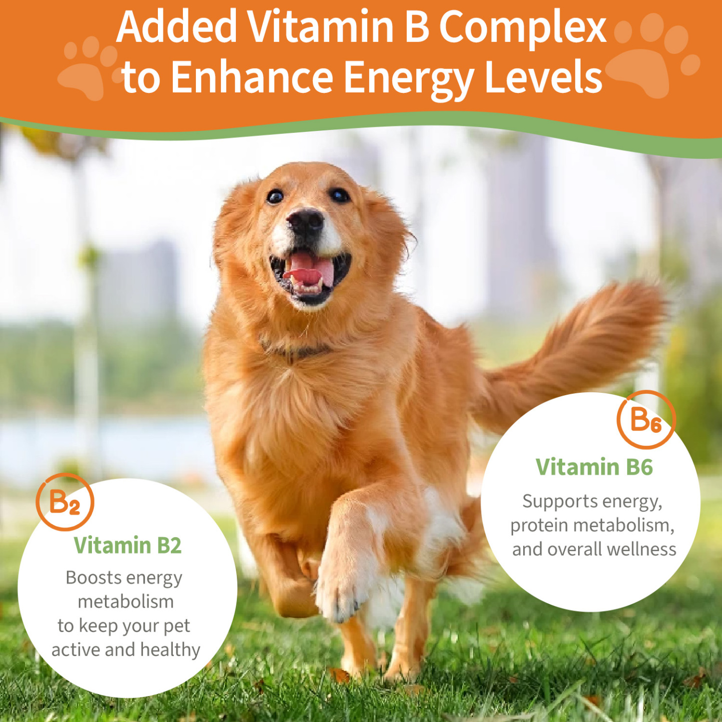 Kidney Support for Dogs and Cats - 2 fl oz (59 ml)