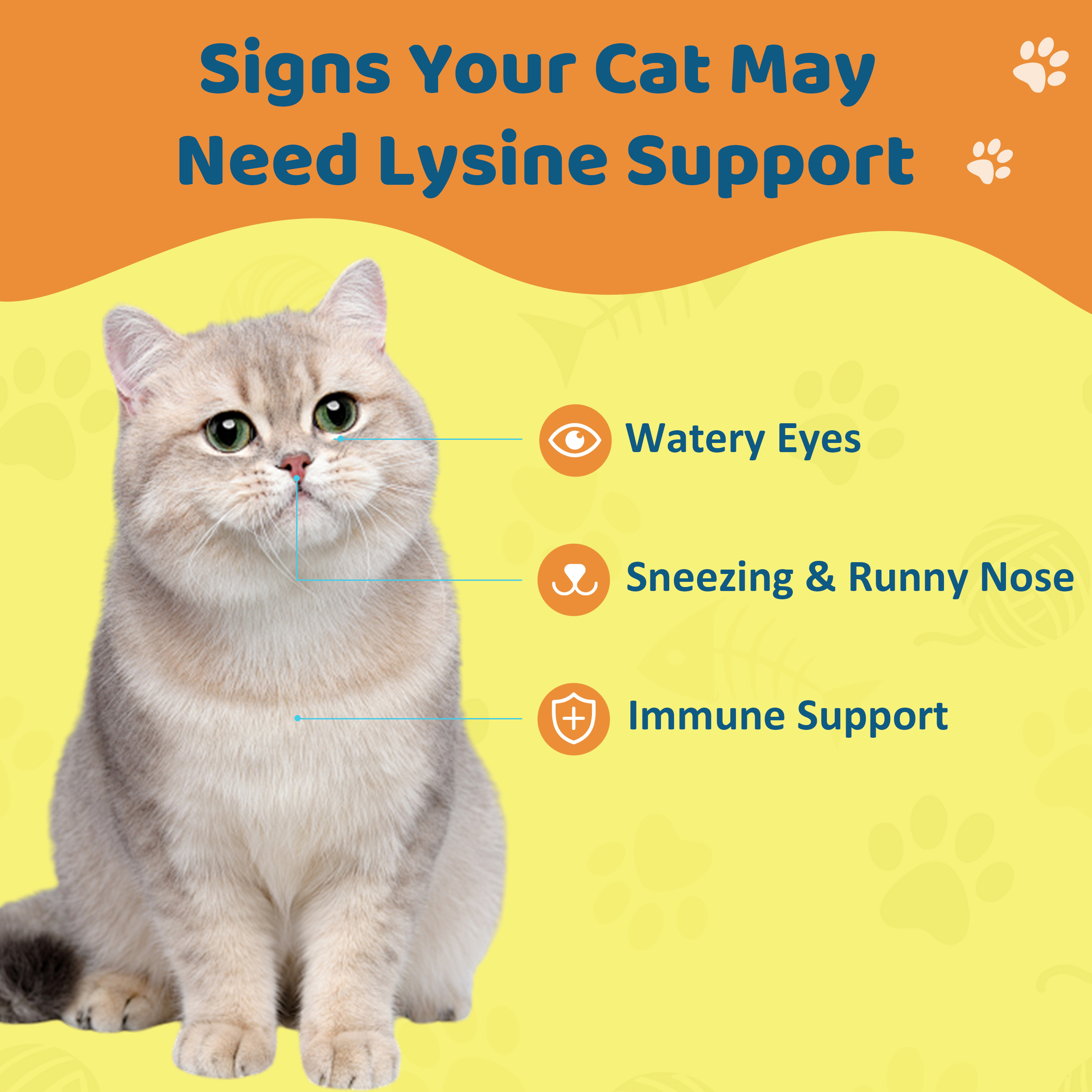 L-Lysine Supplement for Cats – Immune & Respiratory Support, Liquid Lysine for Sneezing, Runny Nose & Eye Health, Chicken Flavor, 60 mL