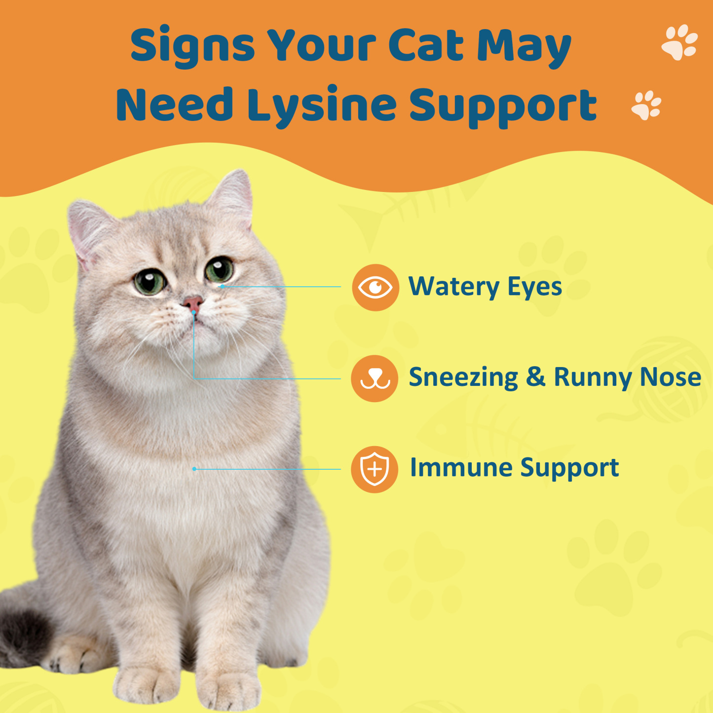 L-Lysine Supplement for Cats – Immune & Respiratory Support, Liquid Lysine for Sneezing, Runny Nose & Eye Health, Chicken Flavor, 60 mL