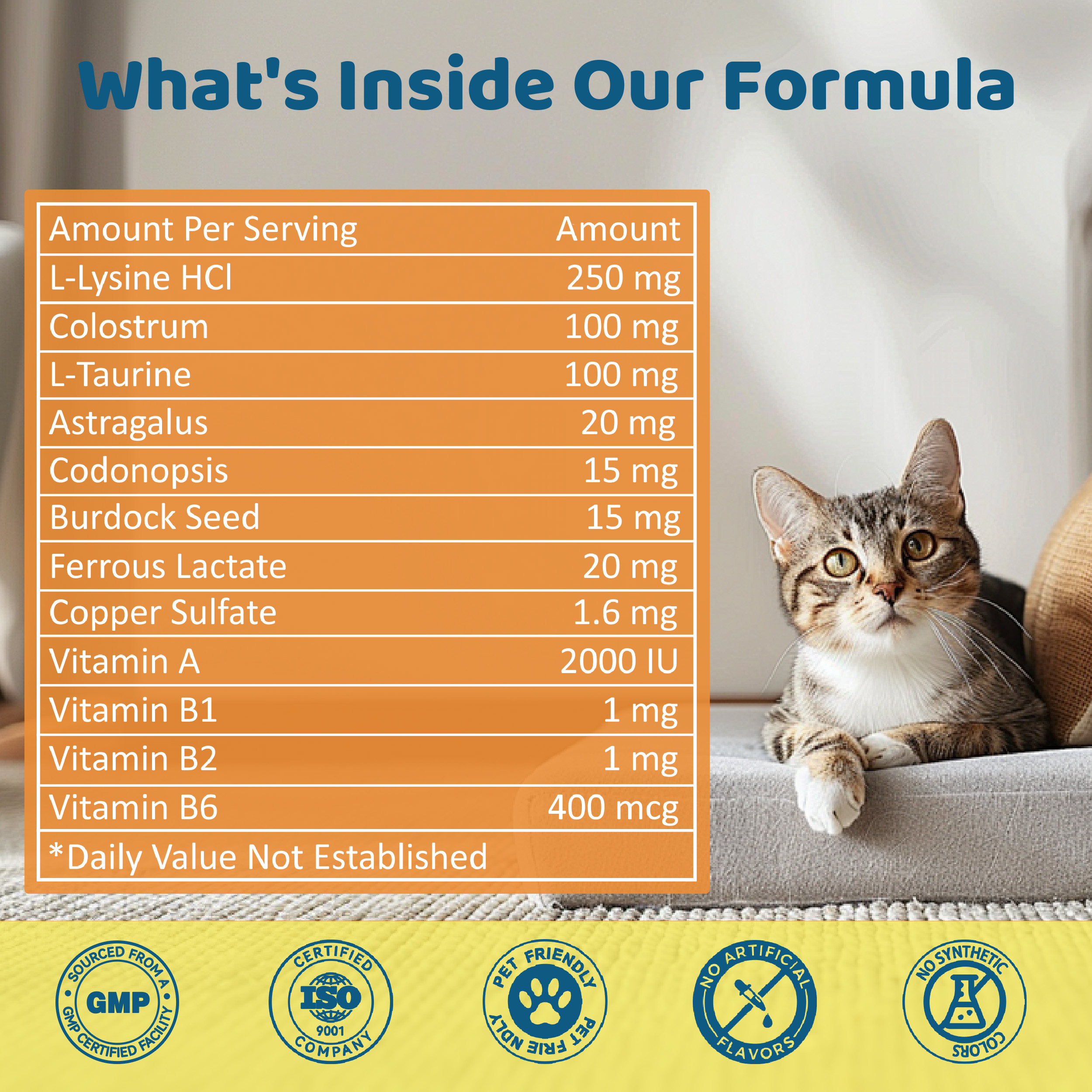 L-Lysine Supplement for Cats – Immune & Respiratory Support, Liquid Lysine for Sneezing, Runny Nose & Eye Health, Chicken Flavor, 60 mL