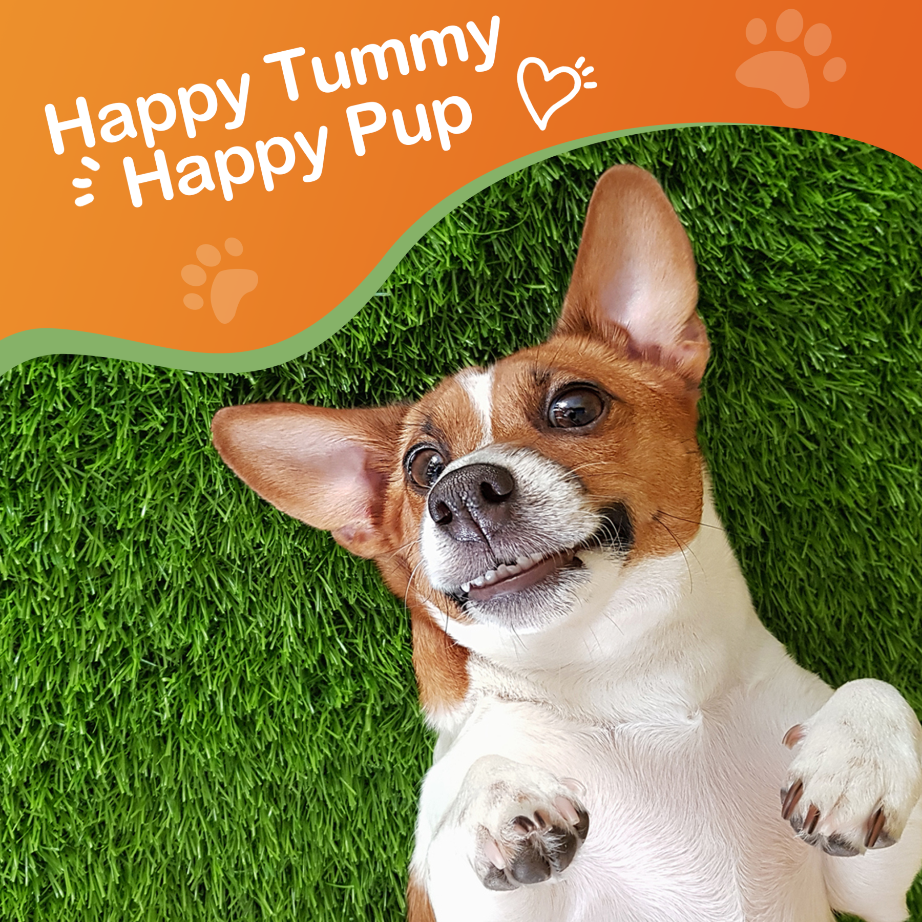 Antidiarrheal for Dogs and Cats - 1 oz