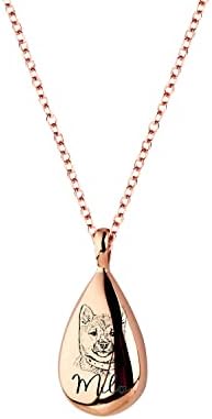 Custom Pet Portrait Urn Cremation Necklace for Ashes Dog Memorial Personalized Gift - URN-AP
