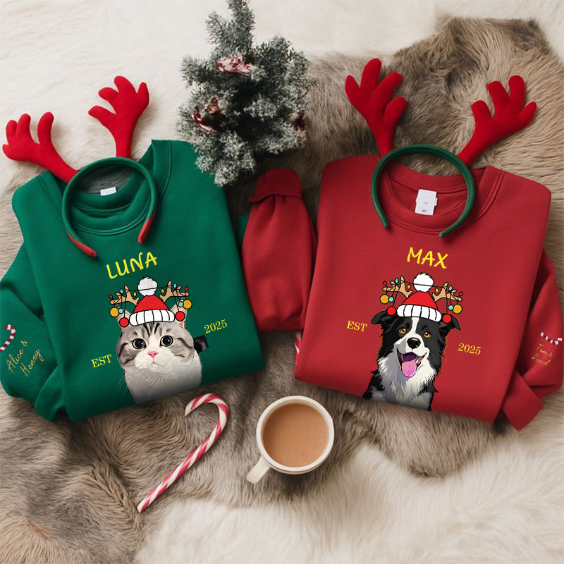 Custom Pet Cartoon Print Sweatshirt - Personalized Dog/Cat Santa Hat Graphic Hoodie