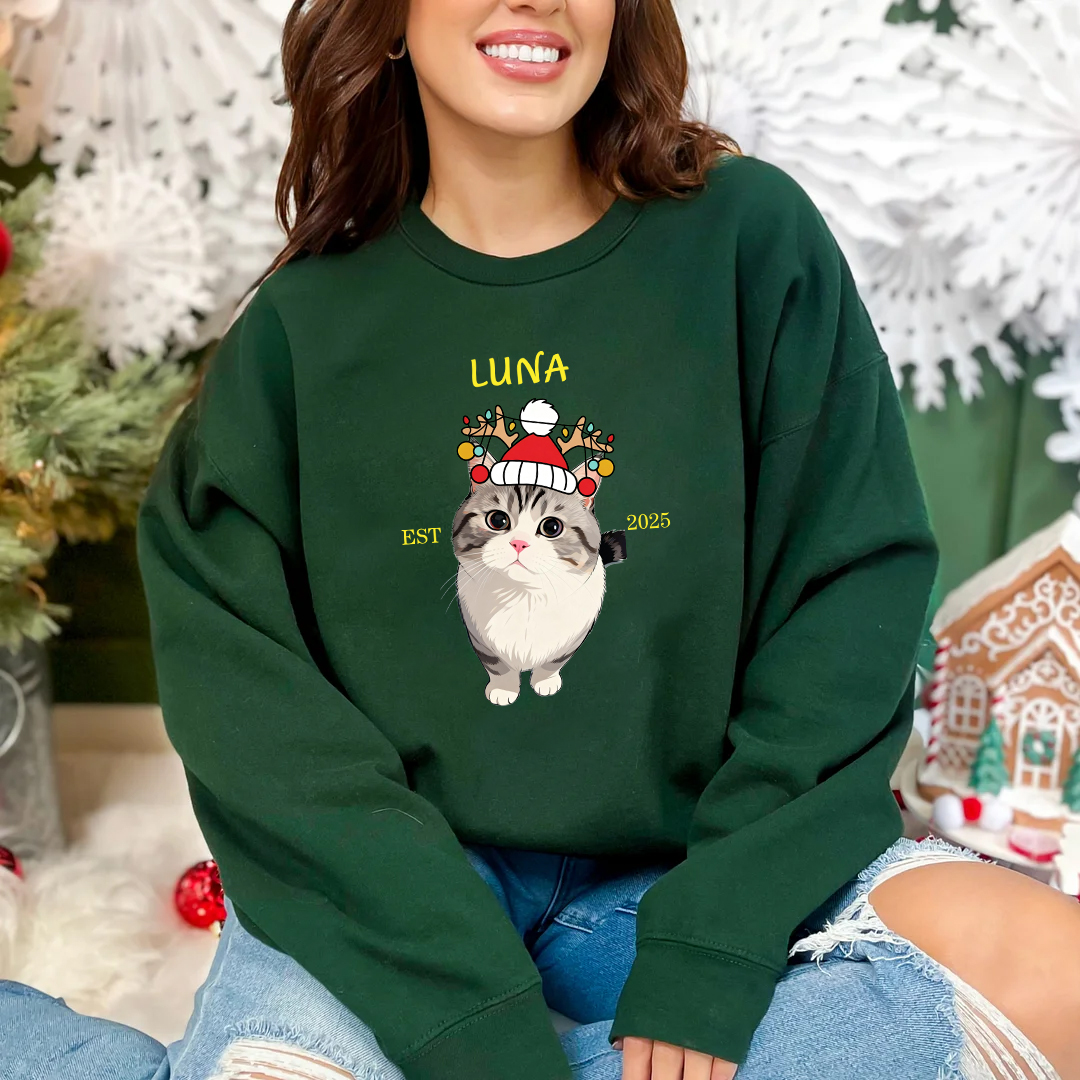 Custom Pet Cartoon Print Sweatshirt - Personalized Dog/Cat Santa Hat Graphic Hoodie
