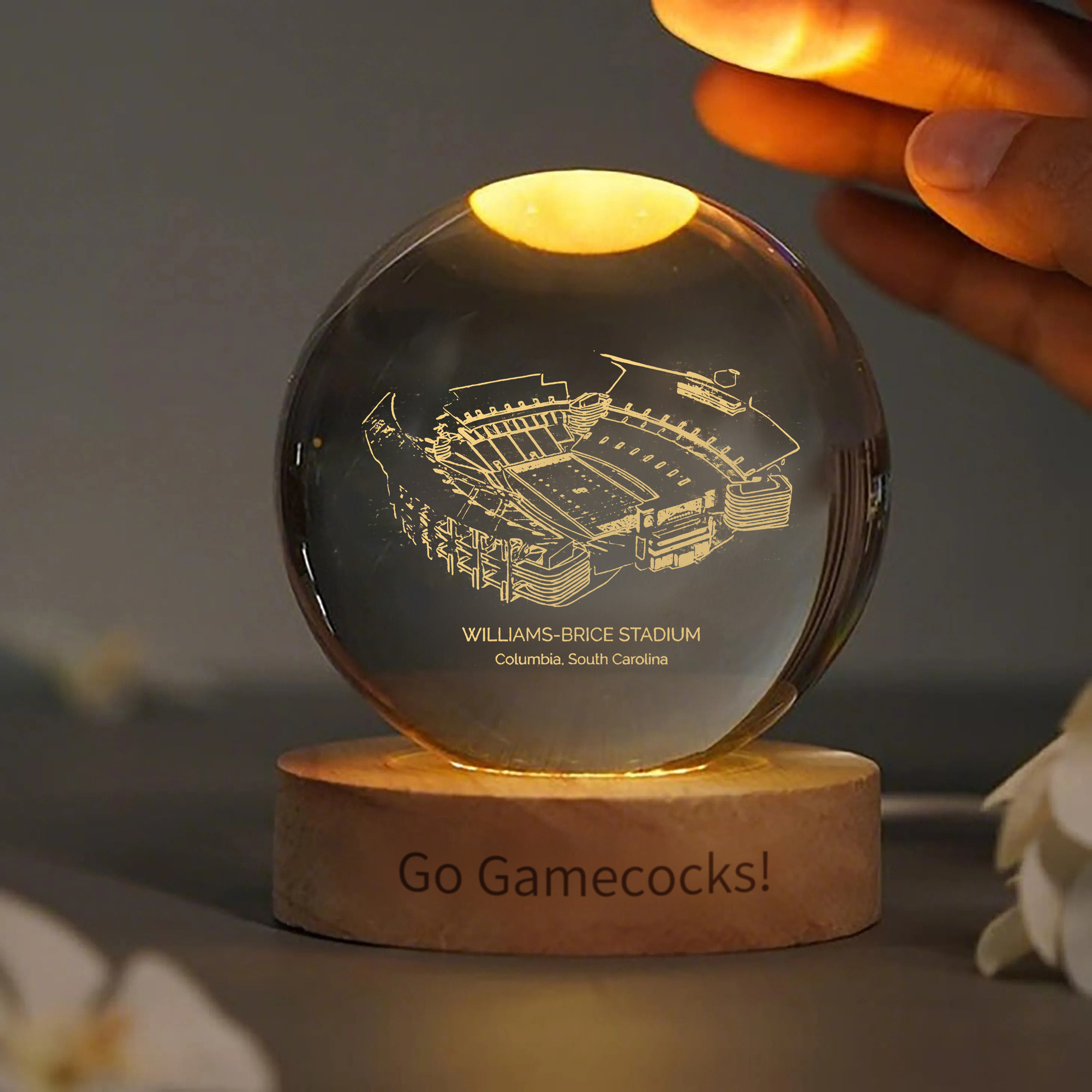 Williams-Brice Stadium 3D Spherical Crystal Ball Lamp