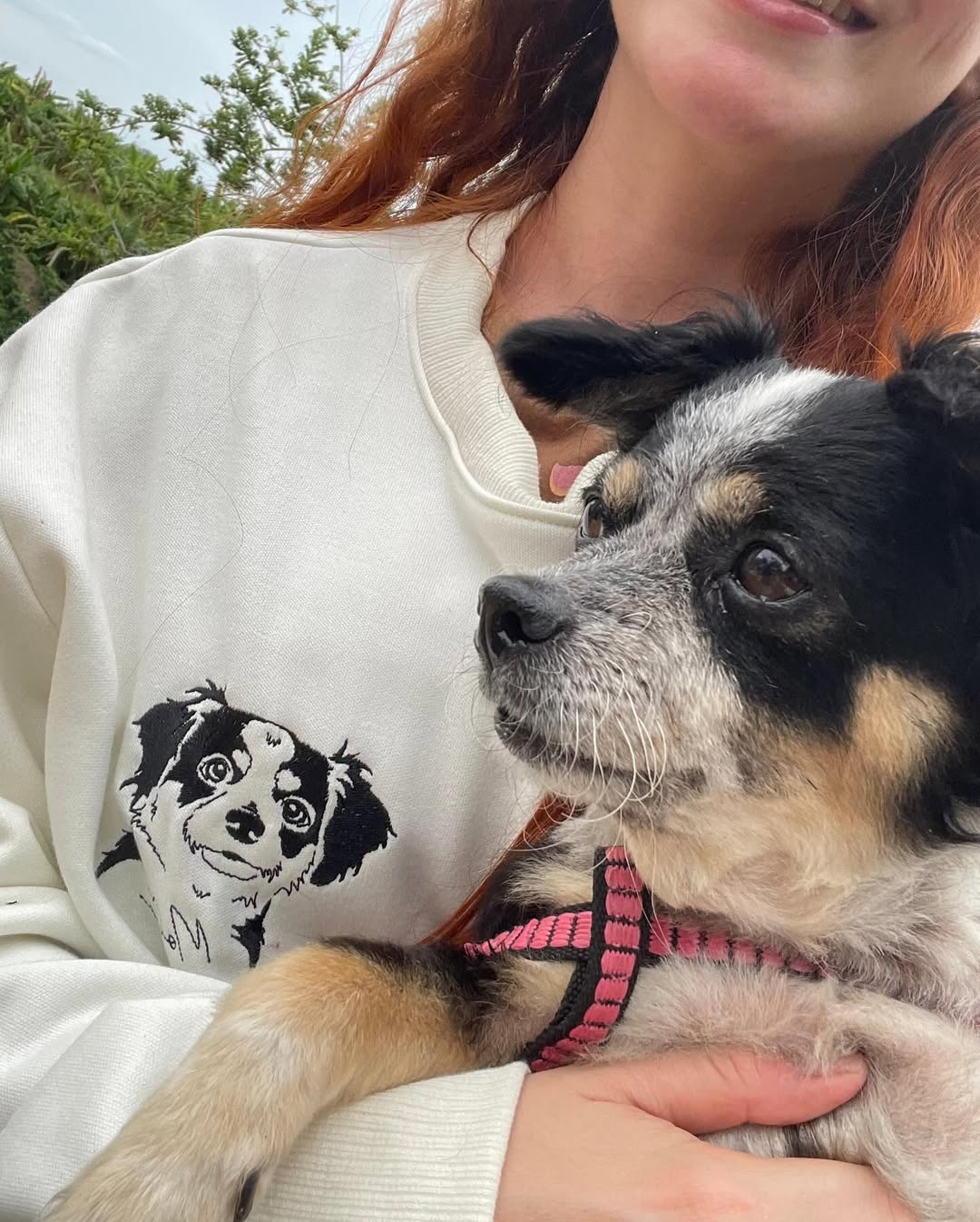 Custom Embroidered Pet Face T-shirt,Personalized hoodie embroidered with multiple pets-forlovever